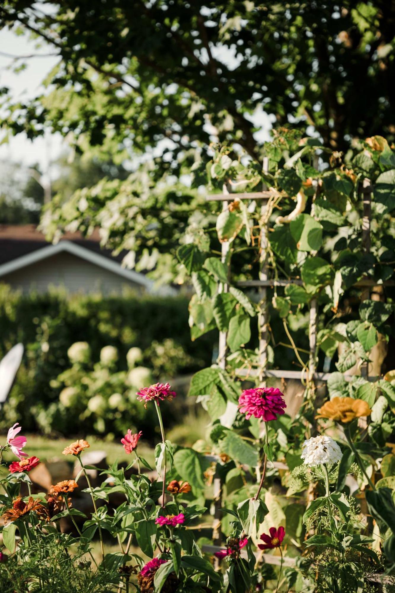 The Old Homestead - Gorgeous Backyard Right In The Heart Of Picton Exterior photo